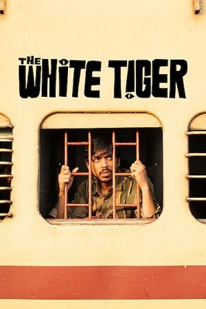 Download The White Tiger (2021) Hindi Full Movie WEB-DL 480p [350MB] | 720p [1.1GB] | 1080p [2.4GB]